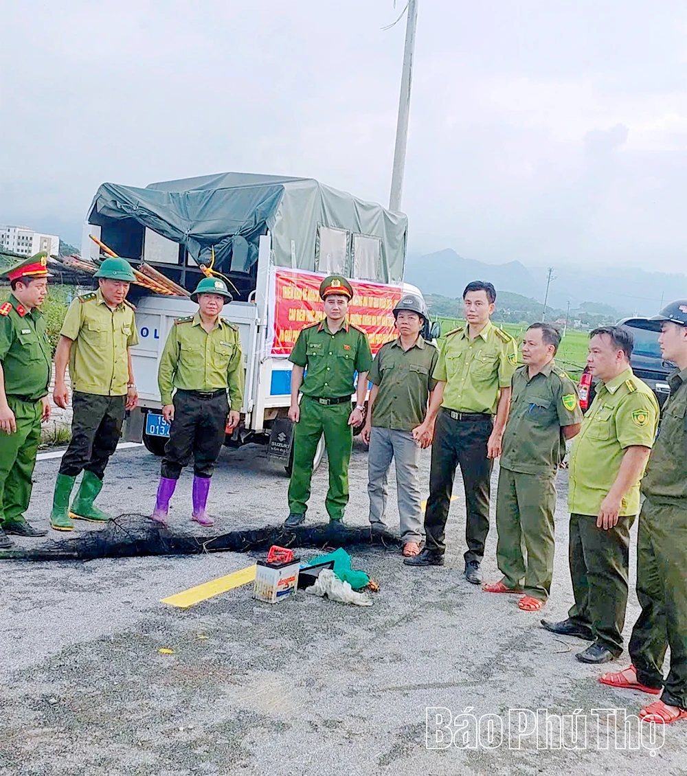 Ngăn chặn tình trạng bắt, bẫy chim hoang dã, chim di cư