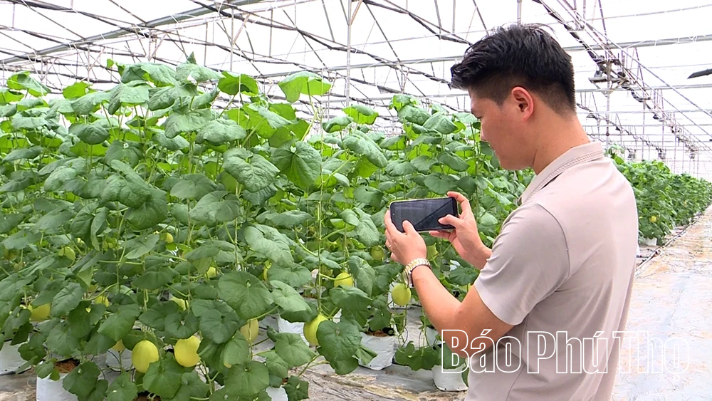 Kỳ 2: Chuyển đổi số: “chìa khóa vàng” cho nông nghiệp Đất Tổ