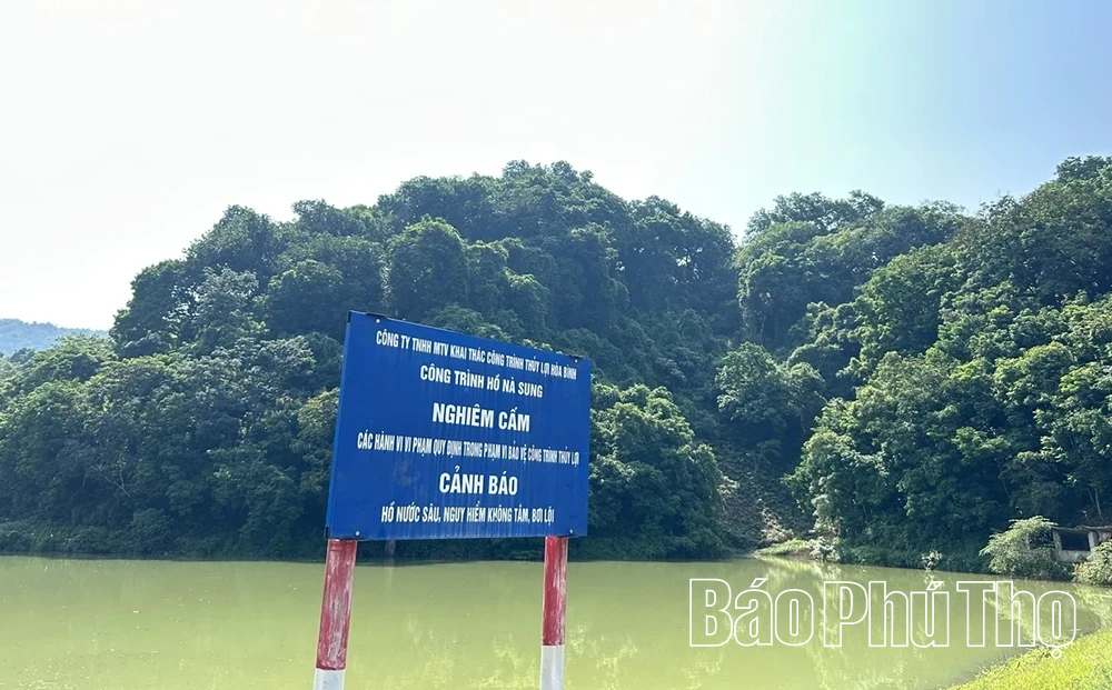 Rừng lim trong lòng phố thị