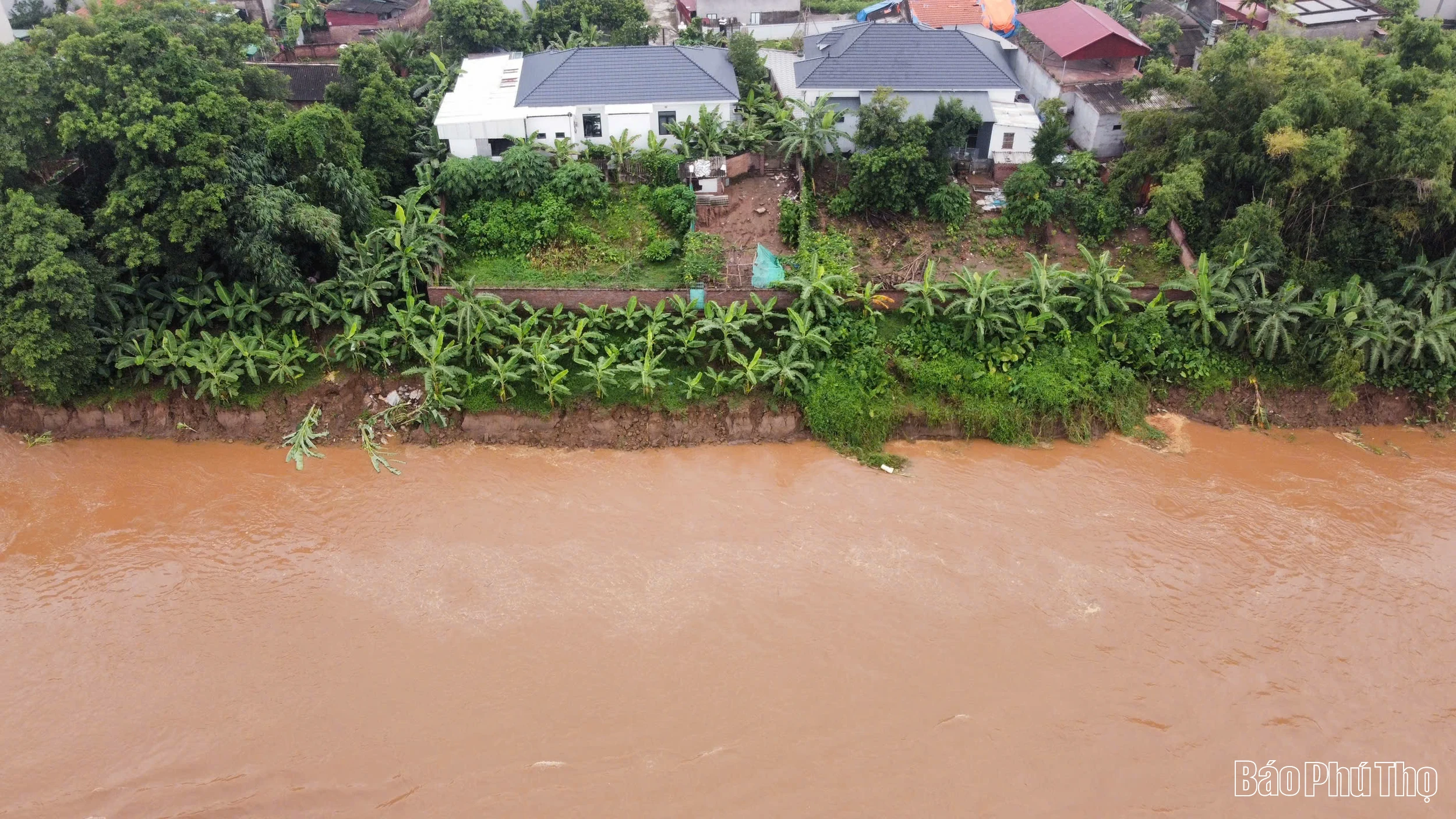 Phú Thọ: Công bố tình huống khẩn cấp về sạt lở bờ, vở sông Thao
