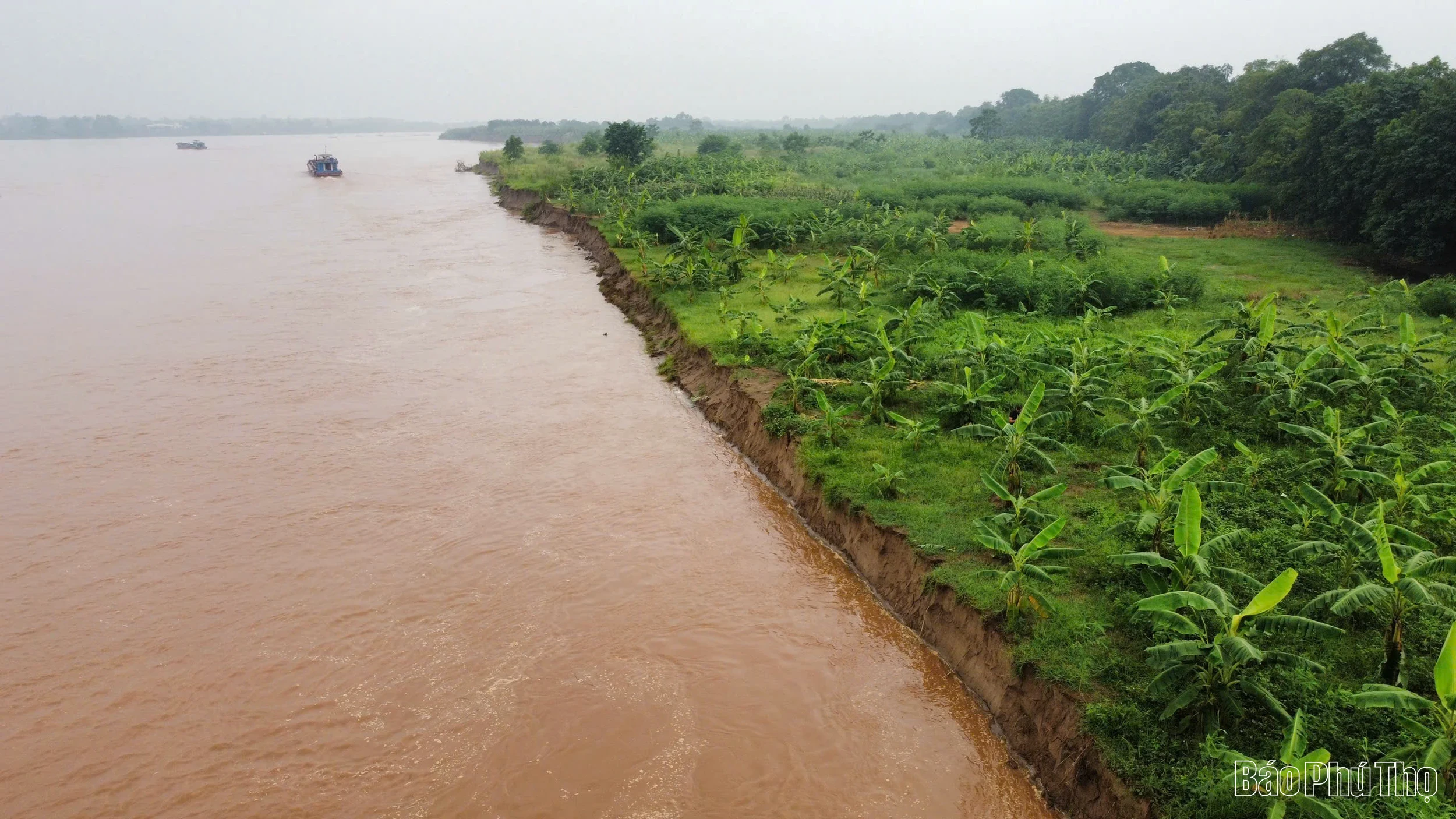 Phú Thọ: Công bố tình huống khẩn cấp về sạt lở bờ, vở sông Thao