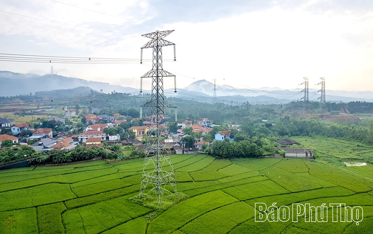 Mạch nguồn của niềm tin và kỳ vọng