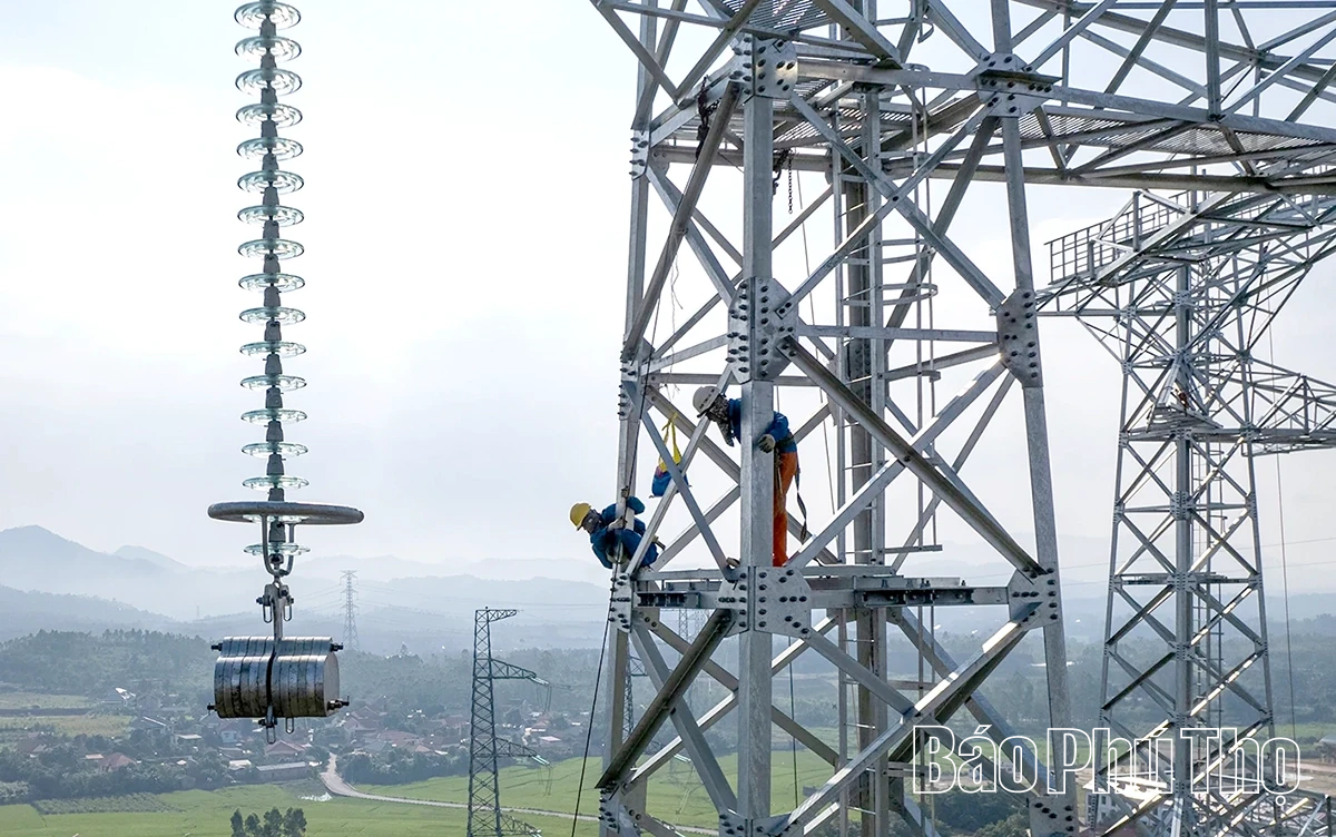 Mạch nguồn của niềm tin và kỳ vọng