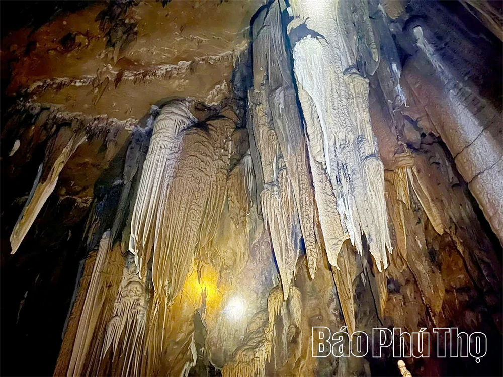 Động Tớn Nam Sơn - “Nàng công chúa ngủ trong rừng” của vùng cao Vân Sơn