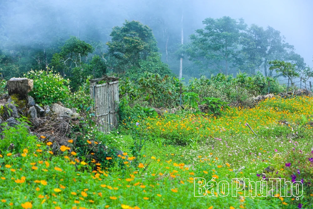 Hang Kia - An Attractive Cloud-viewing Destination