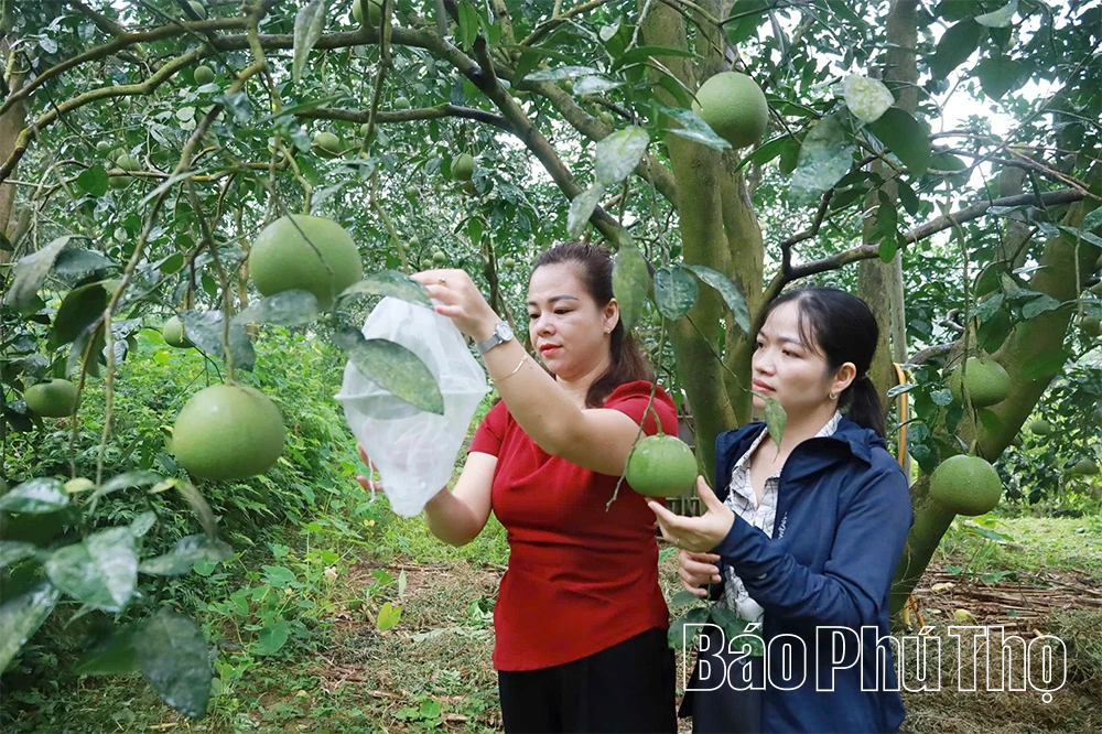 Bài 2 – Tín hiệu vui từ lộ trình xuất khẩu