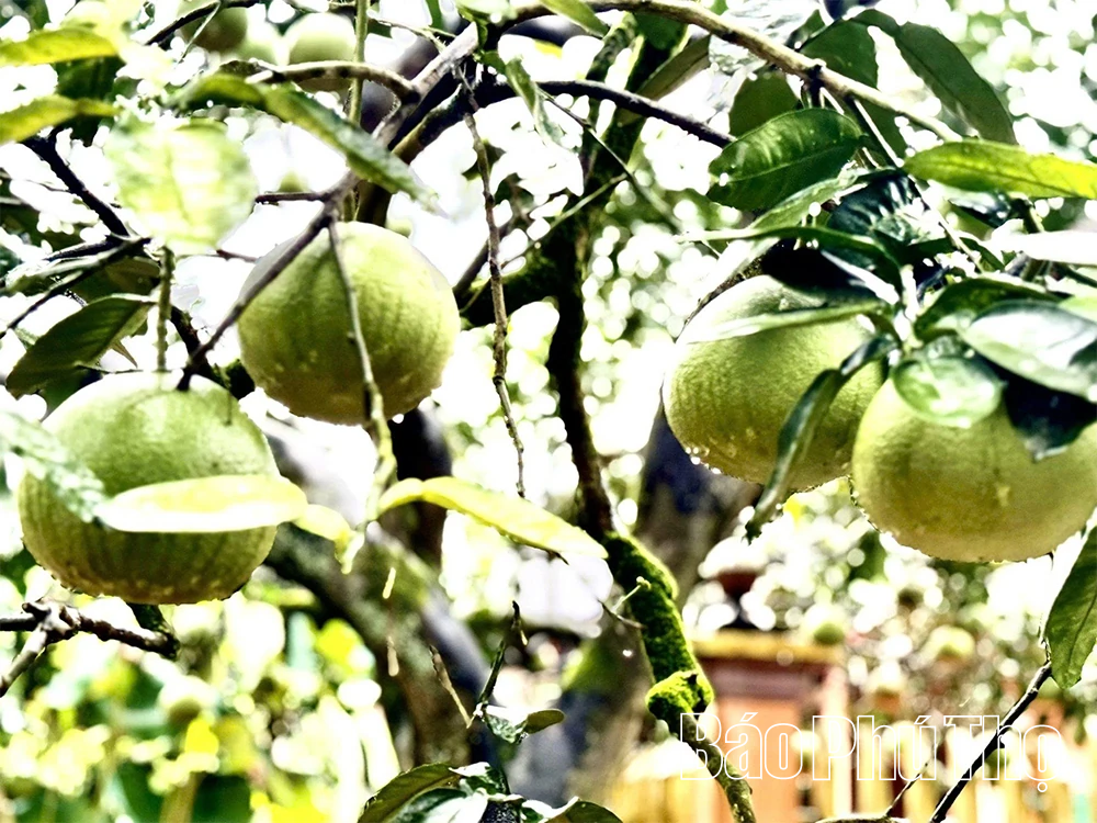 Bài 2 – Tín hiệu vui từ lộ trình xuất khẩu