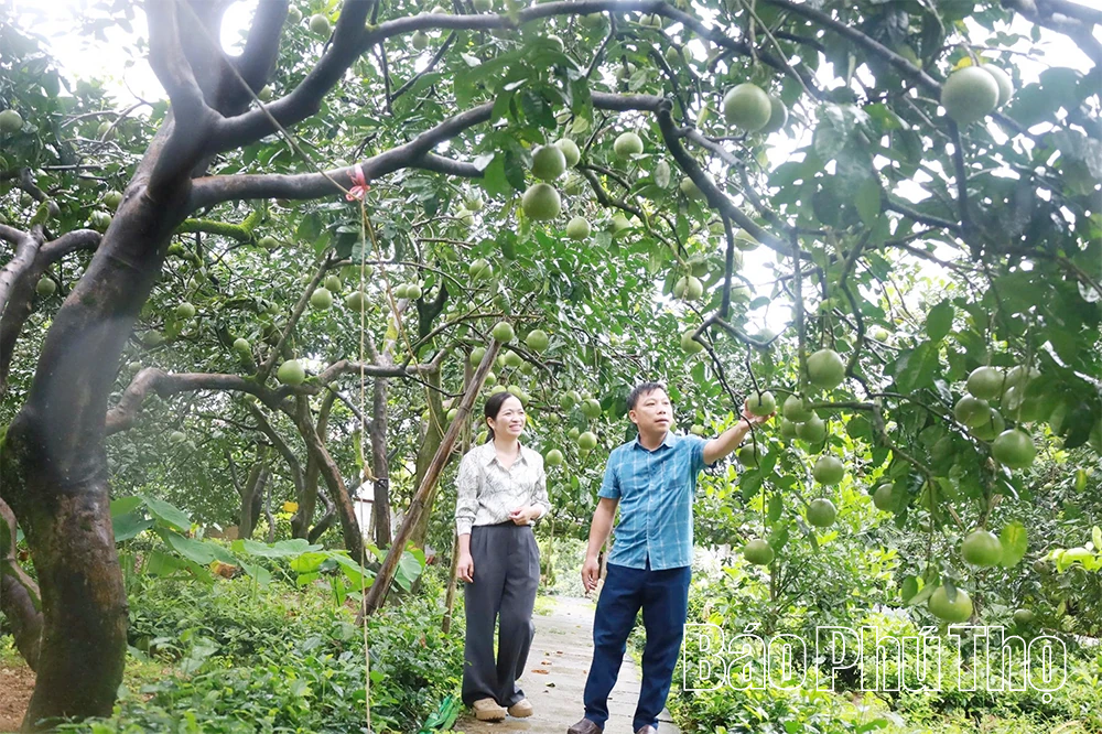 Bài 2 – Tín hiệu vui từ lộ trình xuất khẩu