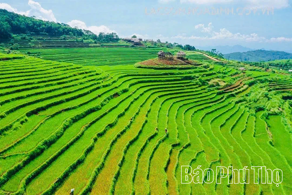 Miền Đồi sẽ tổ chức Lễ hội ruộng bậc thang trong 2 ngày 18-19/10/2025