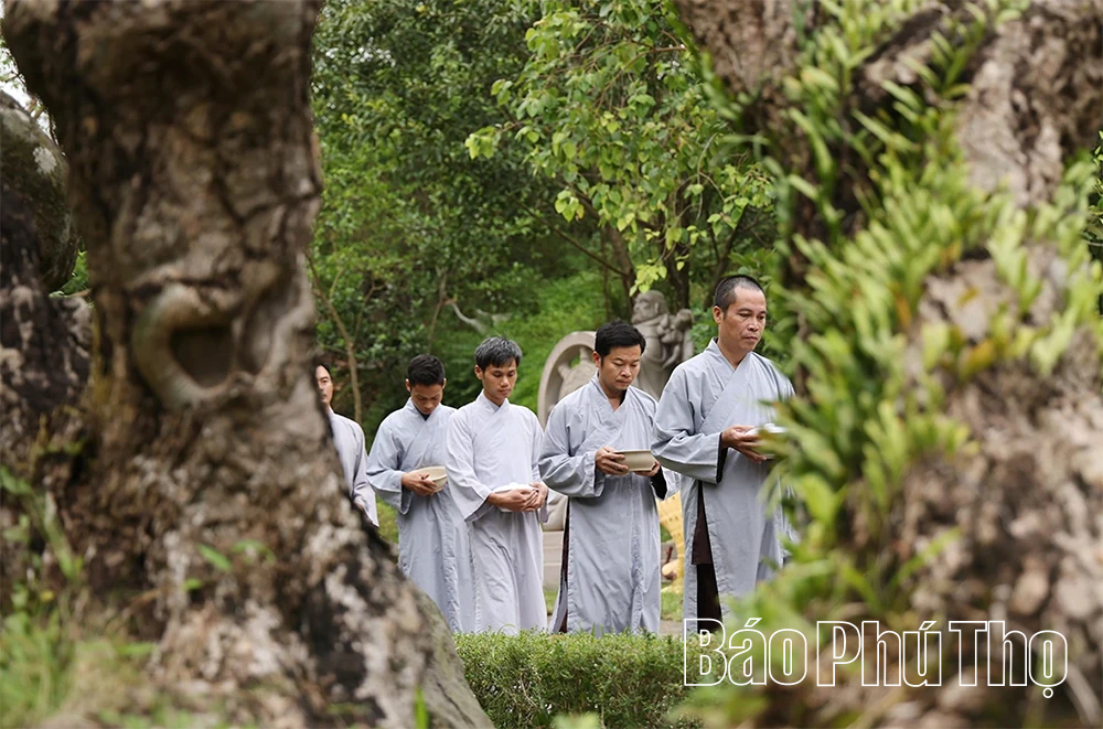 Vãn cảnh Thiền viện Trúc Lâm Tuệ Đức