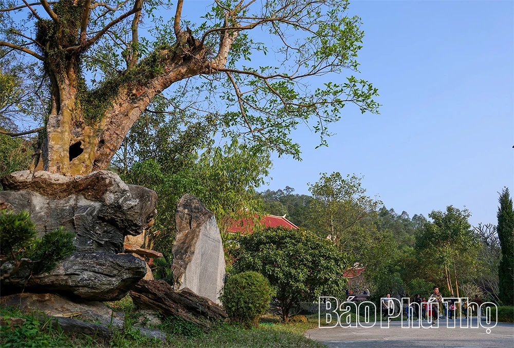 Vãn cảnh Thiền viện Trúc Lâm Tuệ Đức