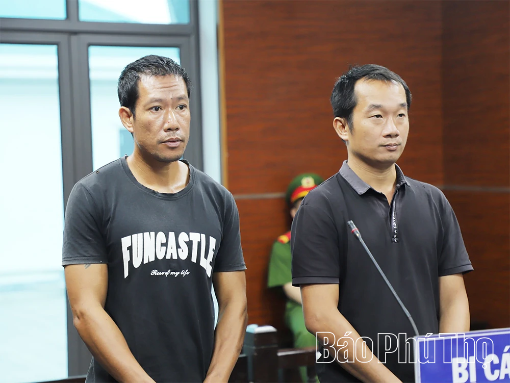 Mua súng quân dụng về bắn chim, 2 bị cáo lĩnh 48 tháng tù