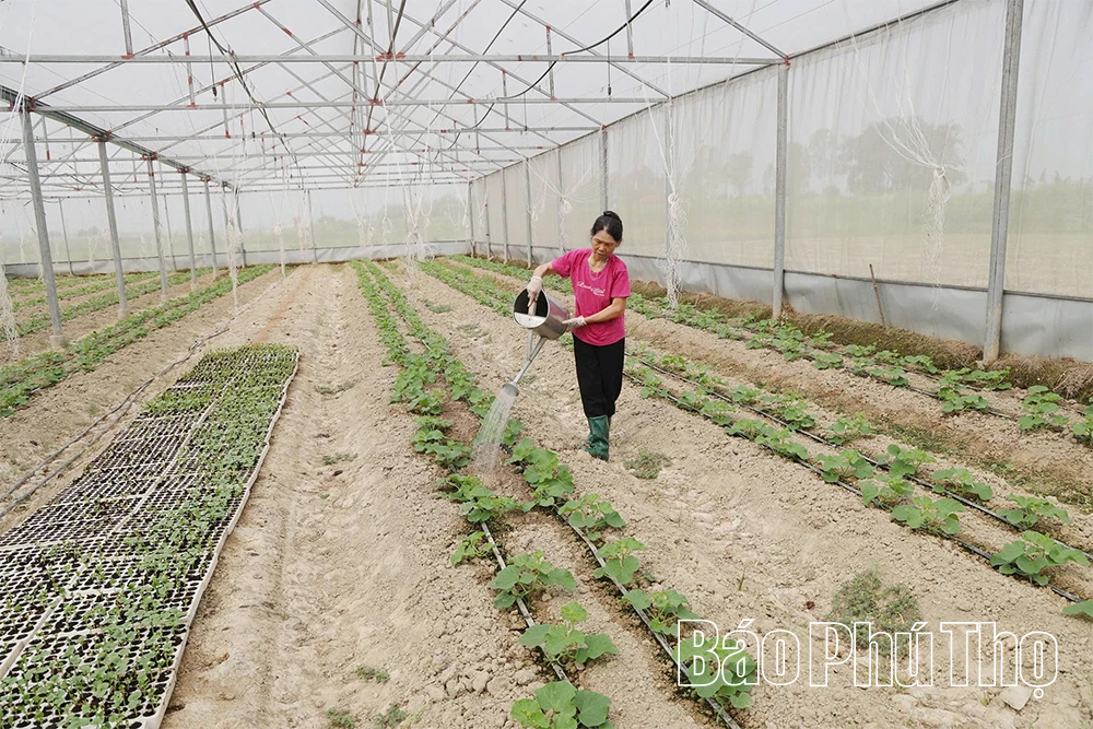 Nông dân thi đua sản xuất kinh doanh giỏi