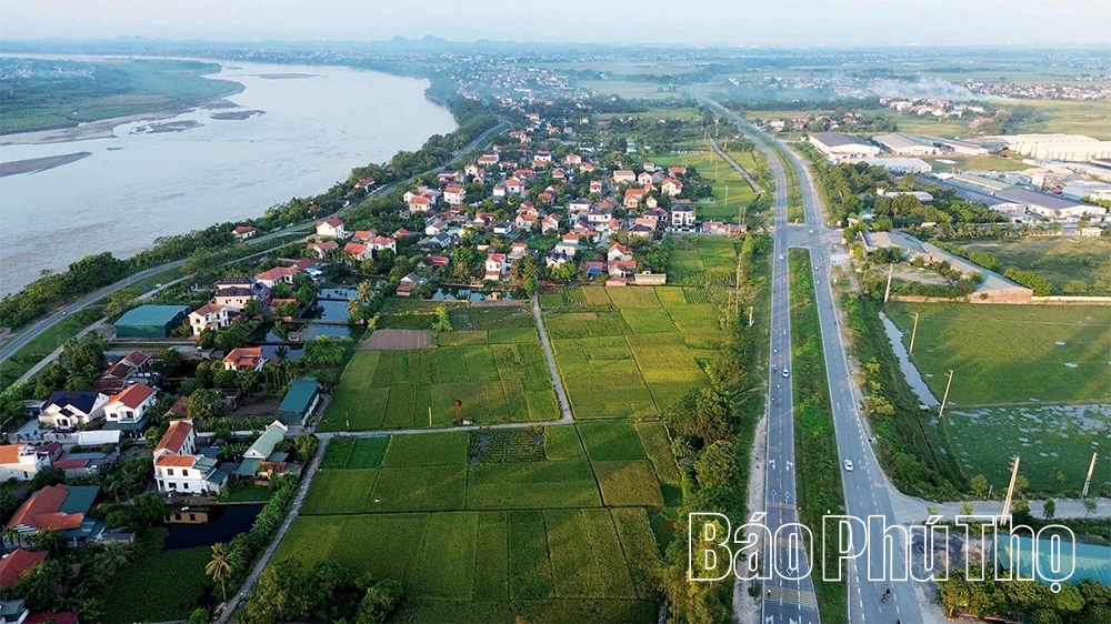 Bức họa đồng quê