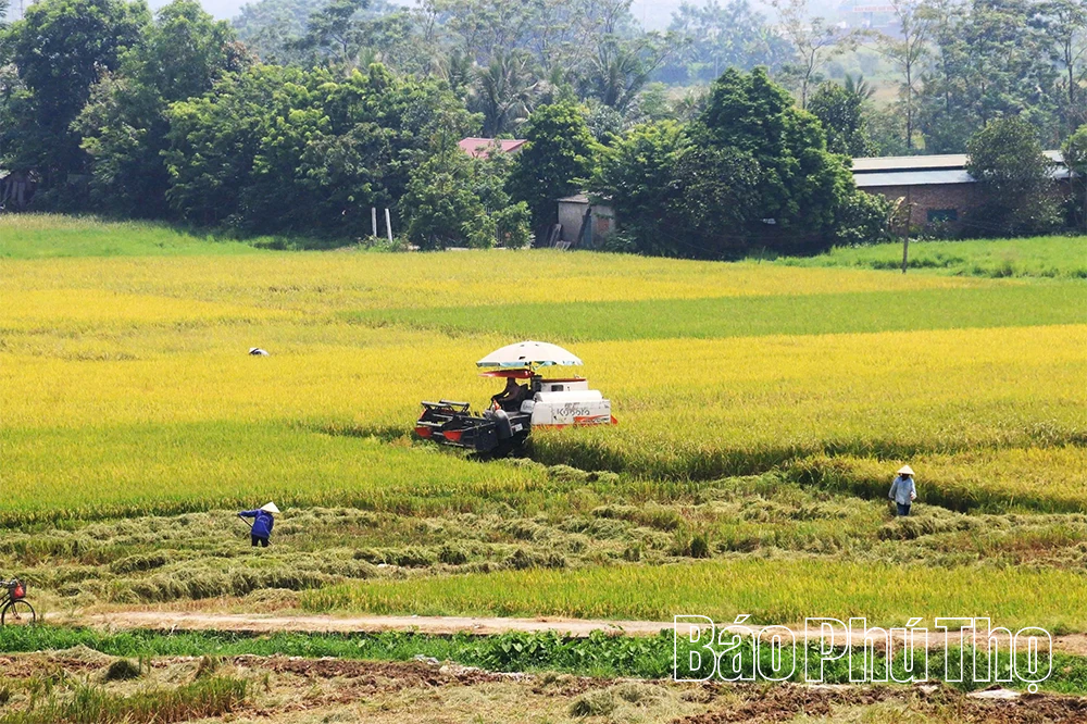 Bức họa đồng quê