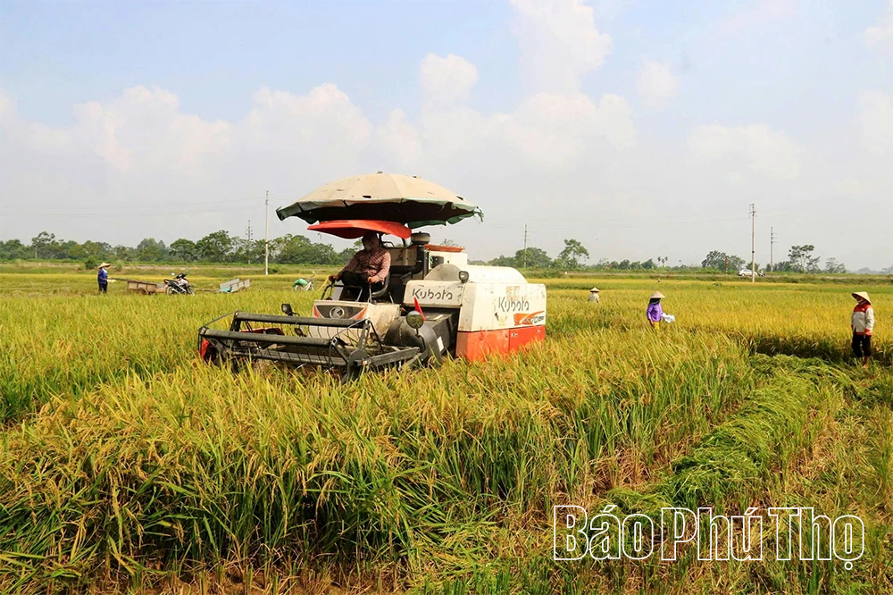Bức họa đồng quê