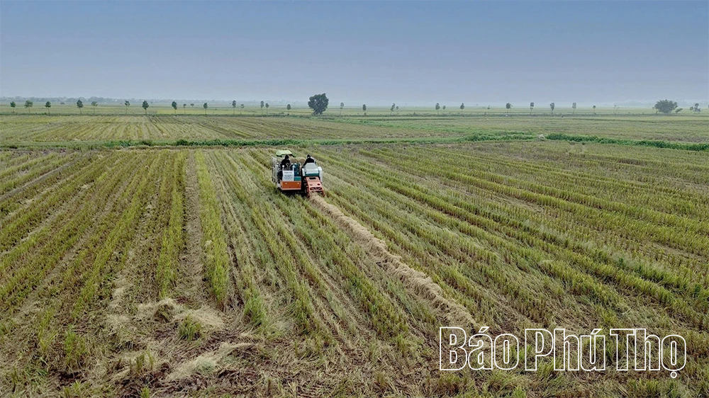 Bức họa đồng quê