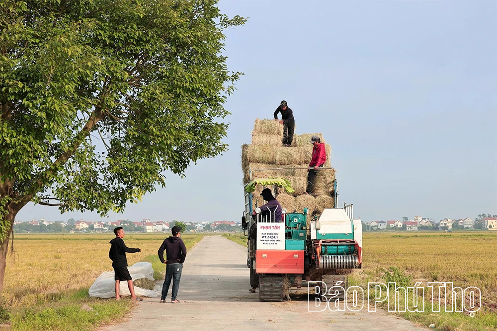 Bức họa đồng quê