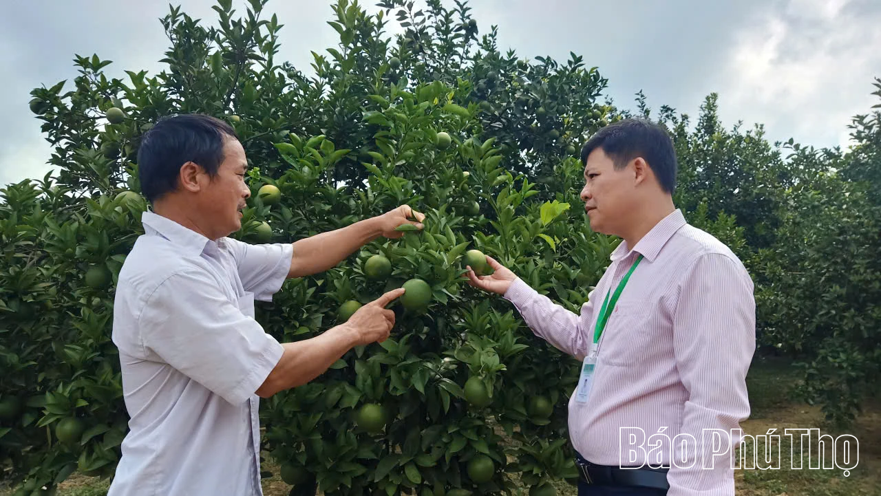 Vốn ưu đãi tiếp sức cho hộ nghèo vươn lên