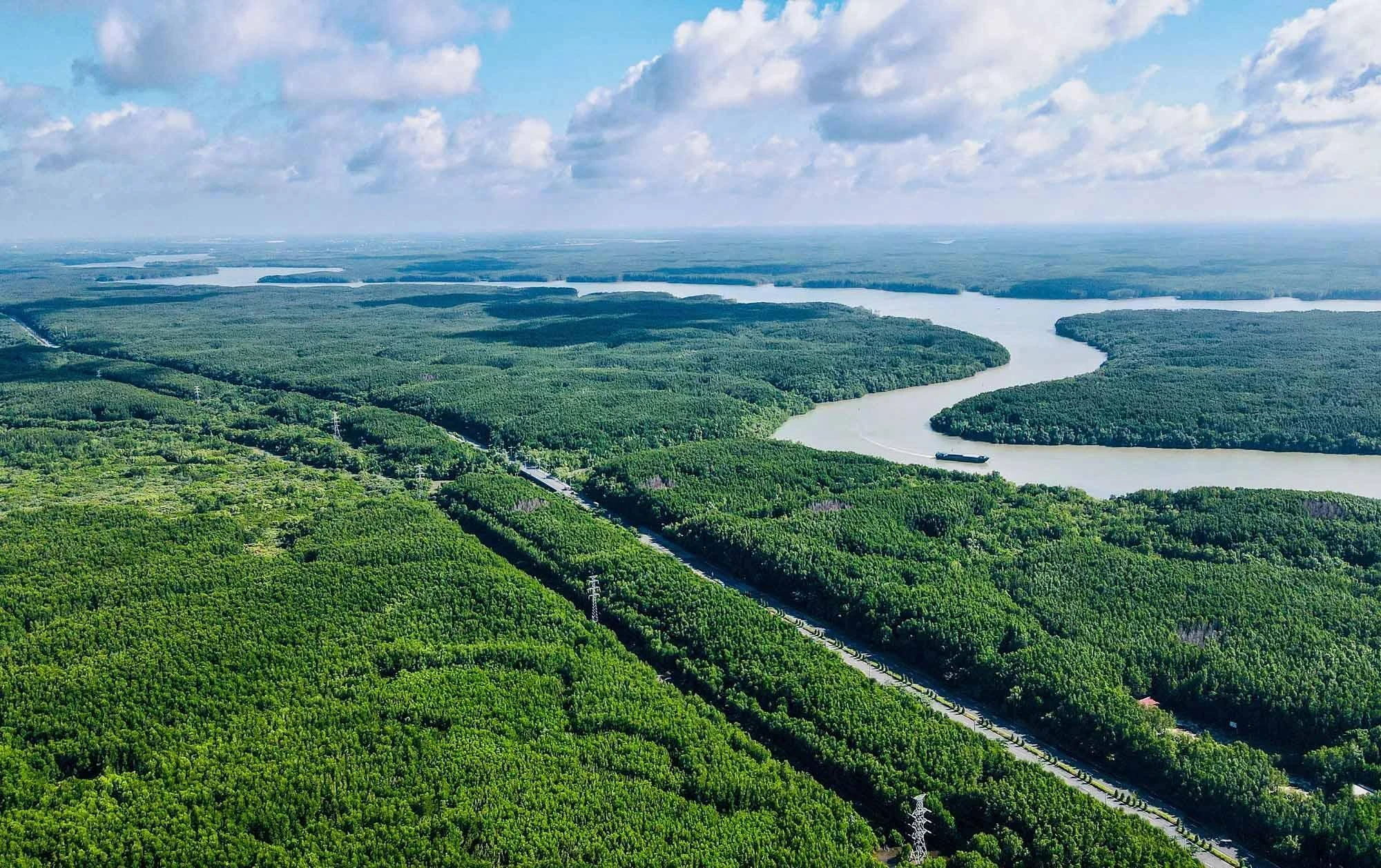 Tại sao Vinhomes Green Paradise Cần Giờ hút mạnh giới đầu tư?