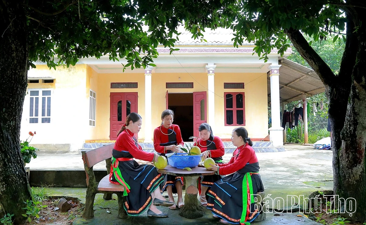 Ngọt, thơm mùa bưởi