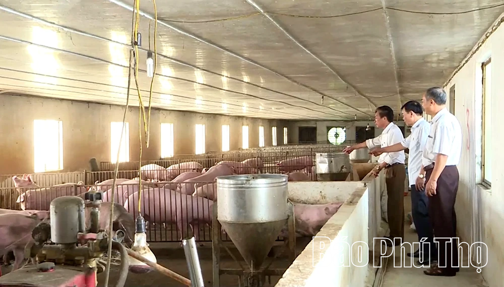 Phát huy phẩm chất Bộ đội Cụ Hồ