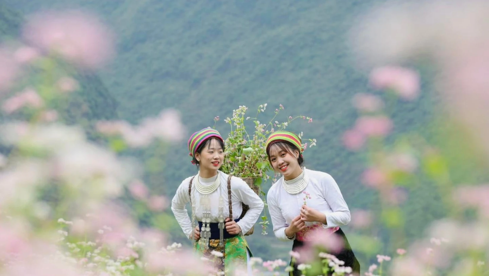 Du lịch Hà Giang tháng 12 - trải nghiệm mùa hoa rực rỡ trên cao nguyên đá