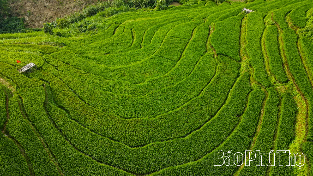 Thơ mộng bản Mừng