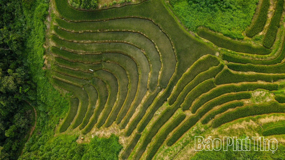 Thơ mộng bản Mừng