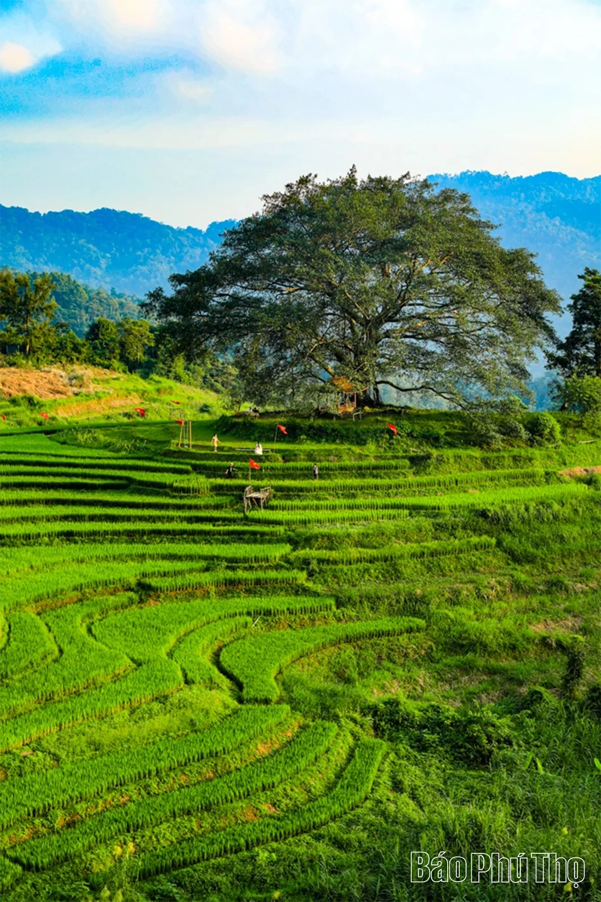 Thơ mộng bản Mừng