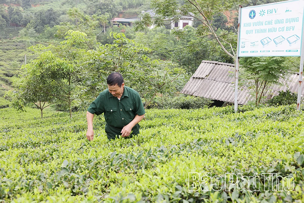 Lan tỏa phong trào thi đua yêu nước