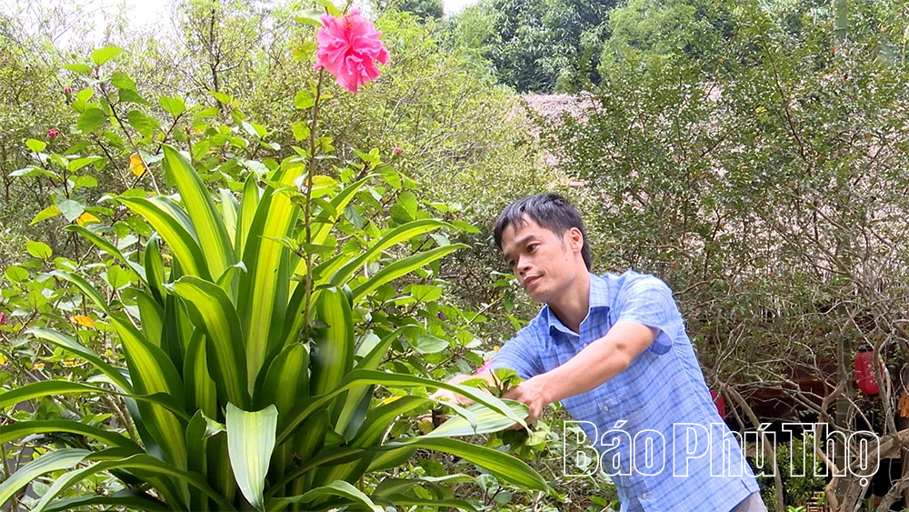 Từng bước nâng cao đời sống cho đồng bào dân tộc