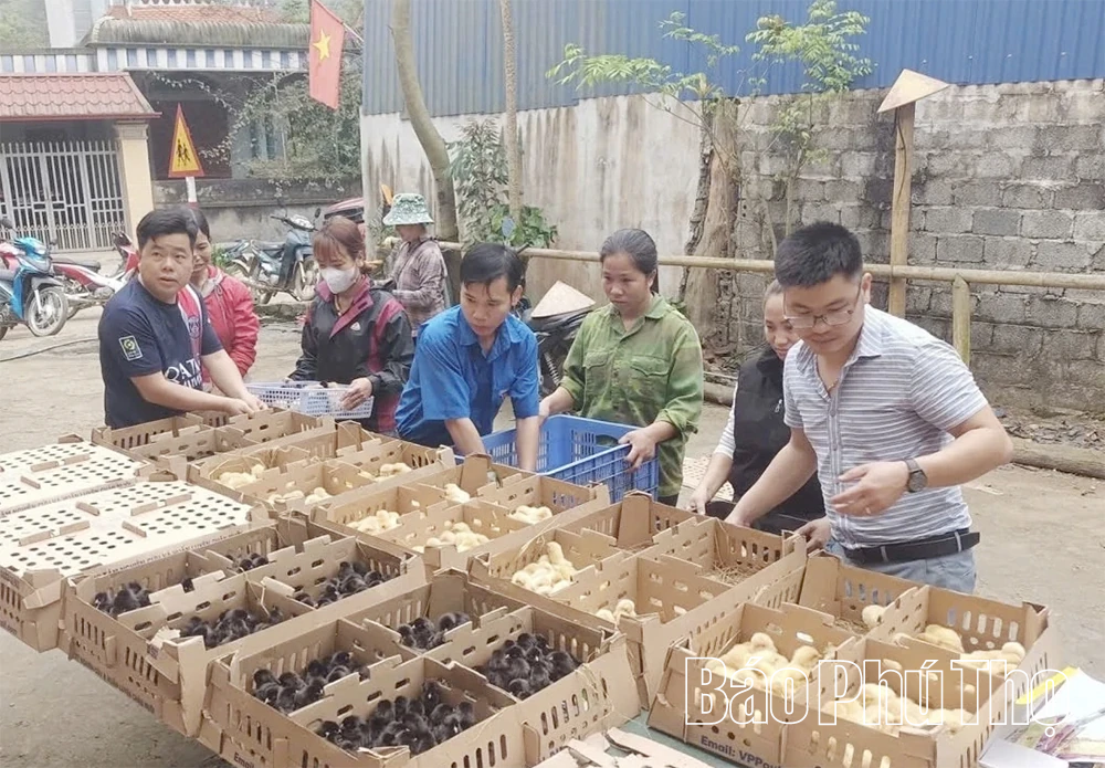 Mở hướng phát triển bền vững cho nông sản địa phương