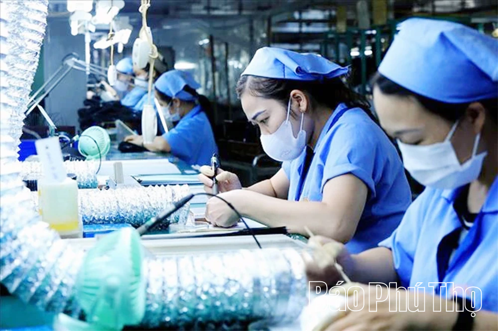 “Chuyển đổi xanh” - động lực phát triển bền vững