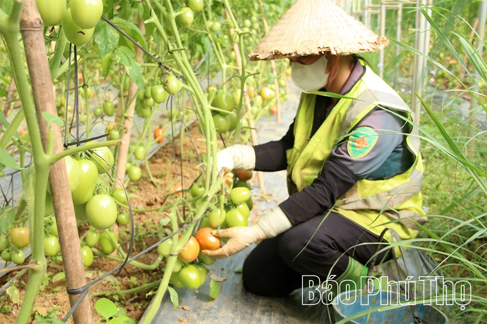 “Chuyển đổi xanh” - động lực phát triển bền vững