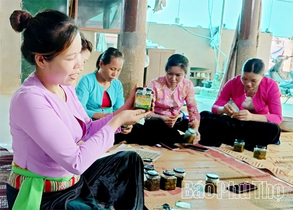 Chuyện khởi nghiệp từ những quả ớt rừng Phú Lương