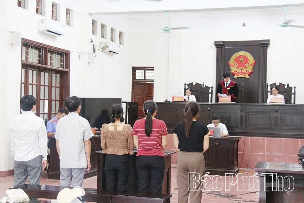 3 giám đốc công ty cùng đồng phạm hầu tòa vì mua bán trái phép hóa đơn