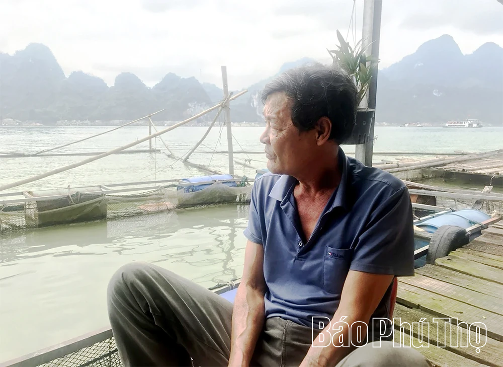 Từ những quyết sách “mở đường”: Biến lòng hồ Hòa Bình trở thành một “vùng kinh tế mới”