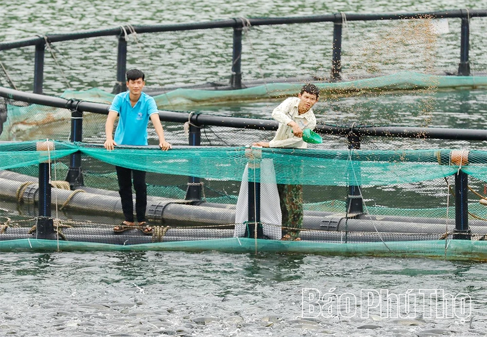 Từ những quyết sách “mở đường”: Biến lòng hồ Hòa Bình trở thành một “vùng kinh tế mới”