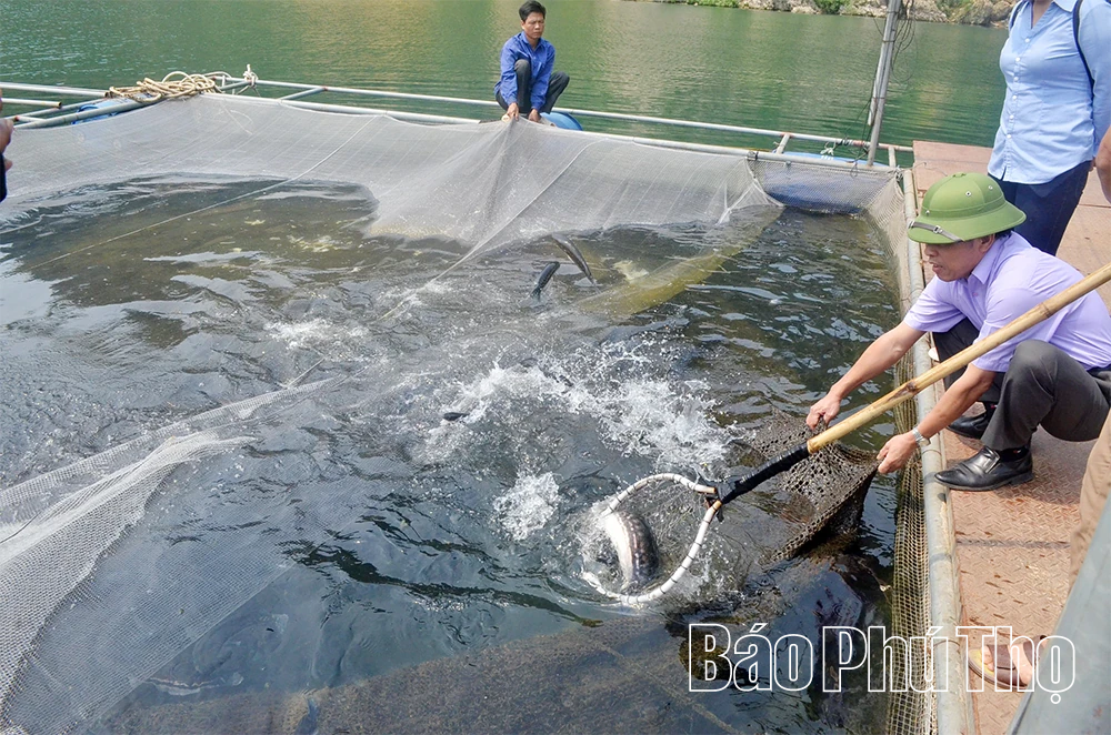 Từ những quyết sách “mở đường”: Biến lòng hồ Hòa Bình trở thành một “vùng kinh tế mới”