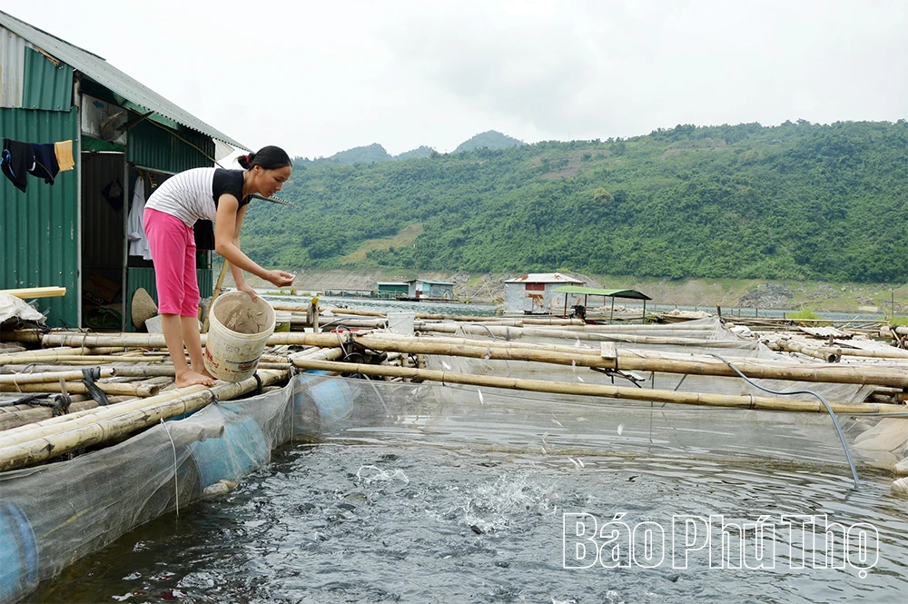 Từ những quyết sách “mở đường”: Biến lòng hồ Hòa Bình trở thành một “vùng kinh tế mới”