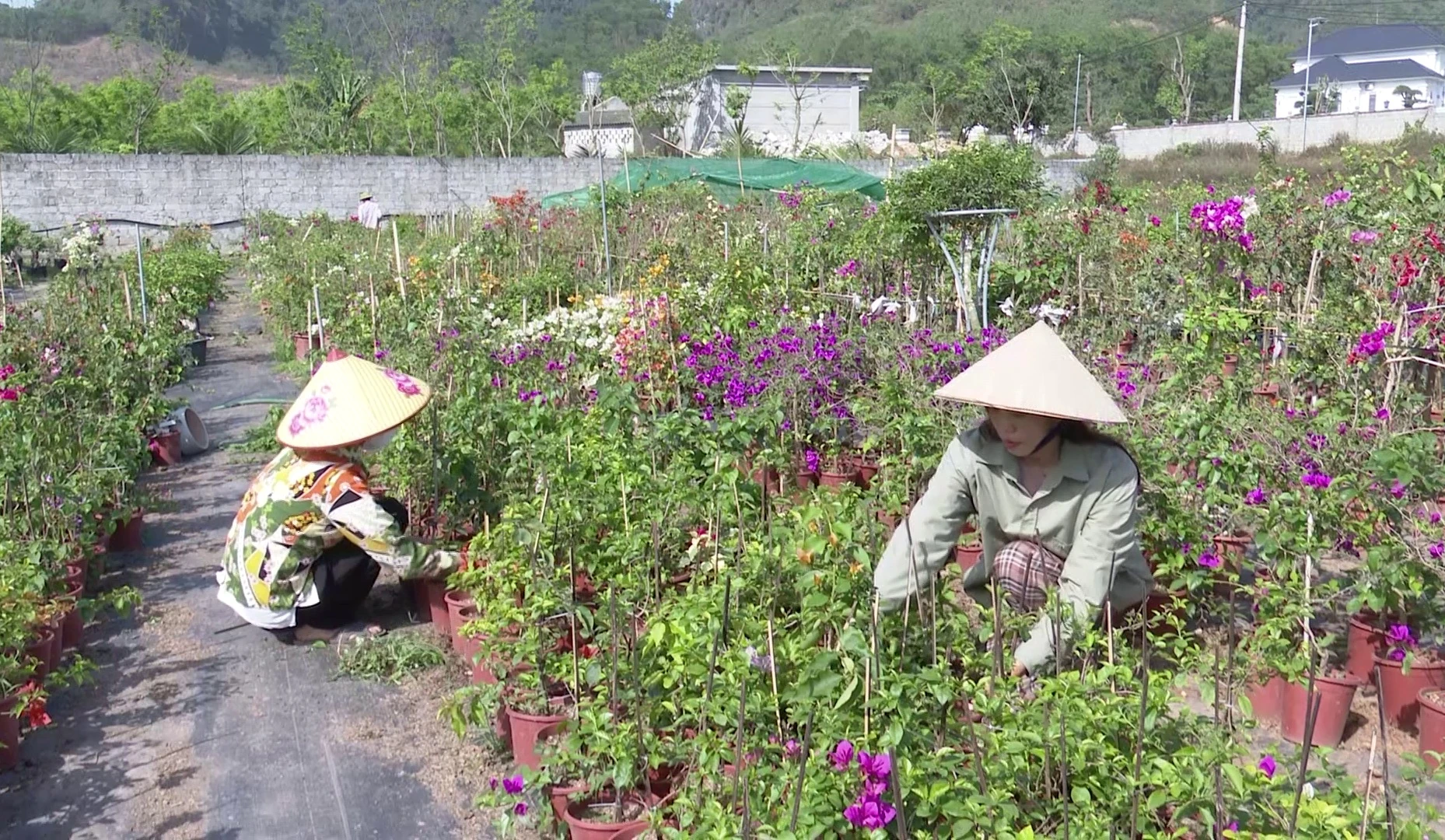 Lan tỏa phong trào thi đua yêu nước