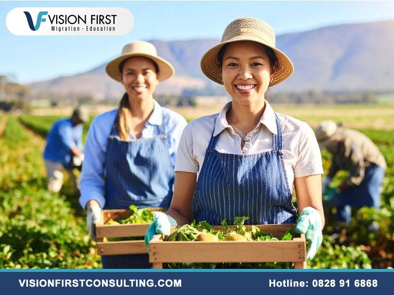 Vision First đồng hành cùng bạn định cư diện tay nghề Úc