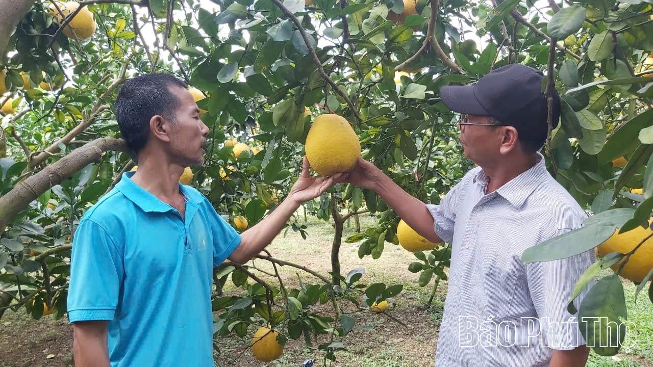 Xã Tân Lạc: Nở rộ phong trào thi đua yêu nước