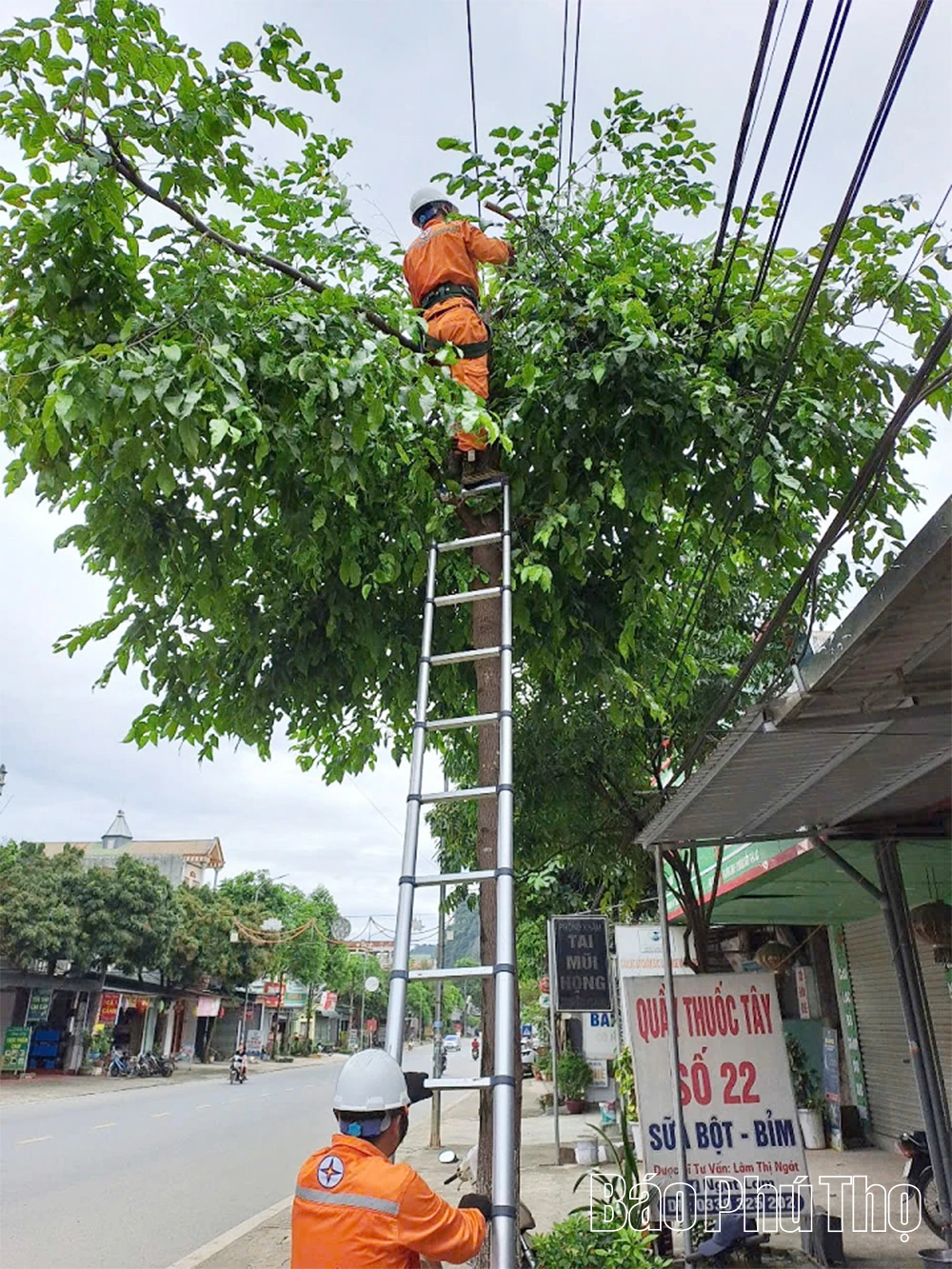 Công ty Điện lực Phú Thọ cảnh báo an toàn điện trước diễn biến bão số 10
