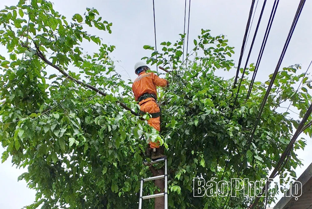Công ty Điện lực Phú Thọ cảnh báo an toàn điện trước diễn biến bão số 10