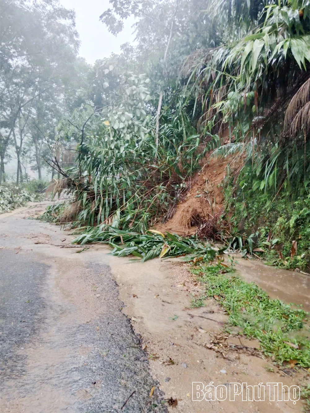 Mưa lũ lịch sử tại các xã vùng cao, nhiều tuyến đường sạt lở, thiệt hại nặng nề