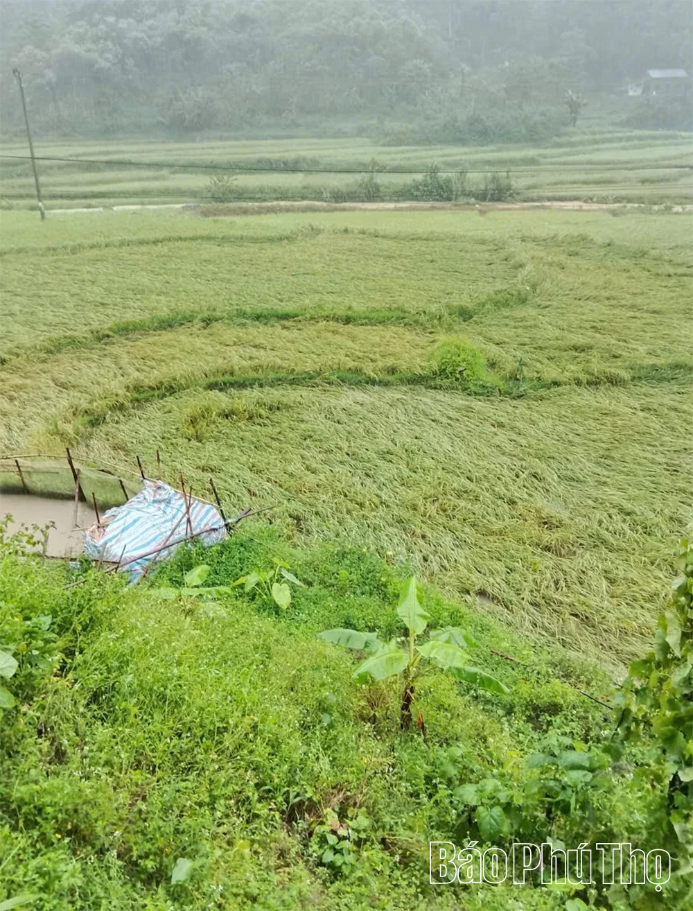 Mưa lũ lịch sử tại các xã vùng cao, nhiều tuyến đường sạt lở, thiệt hại nặng nề