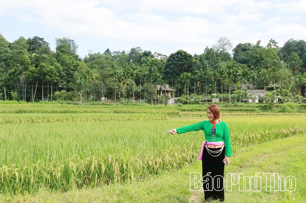 Nữ trưởng thôn được dân mến, dân tin