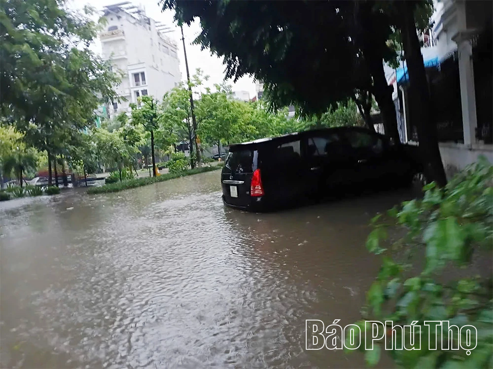 Ngập úng cục bộ tại phường Vĩnh Phúc sau mưa lớn do bão Bualoi